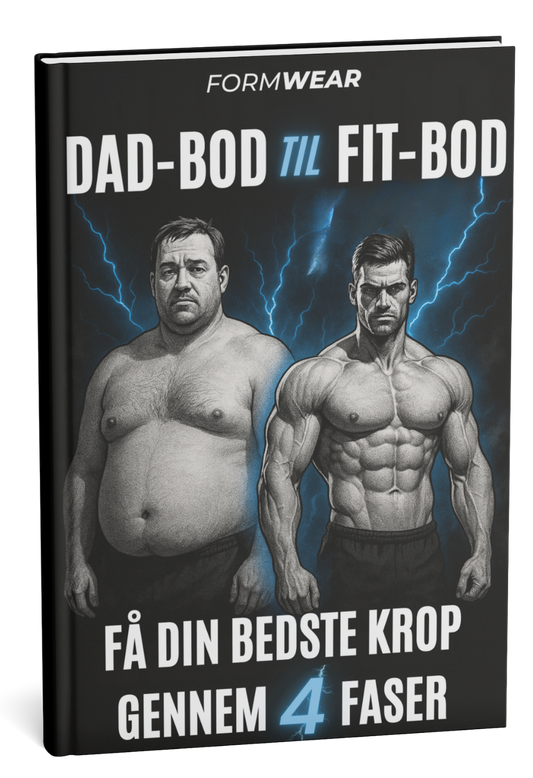 GRATIS E-Bog  ┃  Dadbod Til Fitbod Program